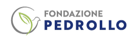 FONDAZIONE PEDROLLO ETS